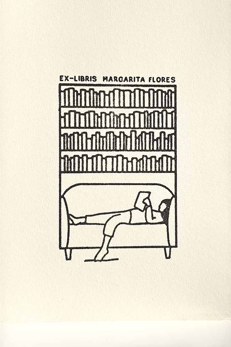 Portadilla de libro estampada con una chica estirada leyendo en un sofa y una biblioteca detrás