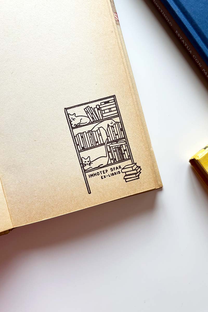 Portadilla de libro estampada con una estantaría llena de libros y tres gatos