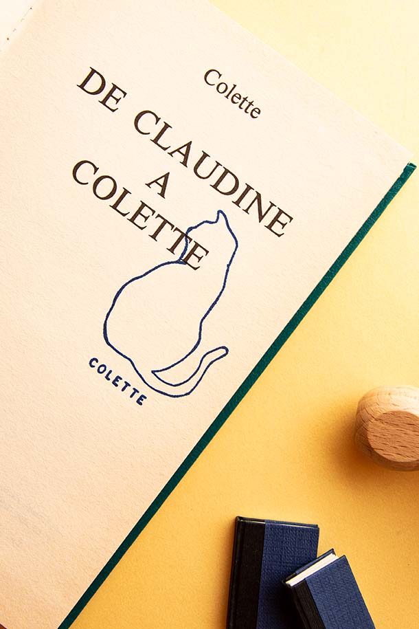 Portadilla de libro estampada con sello exlibris de un gato sentado de espaldas y sello