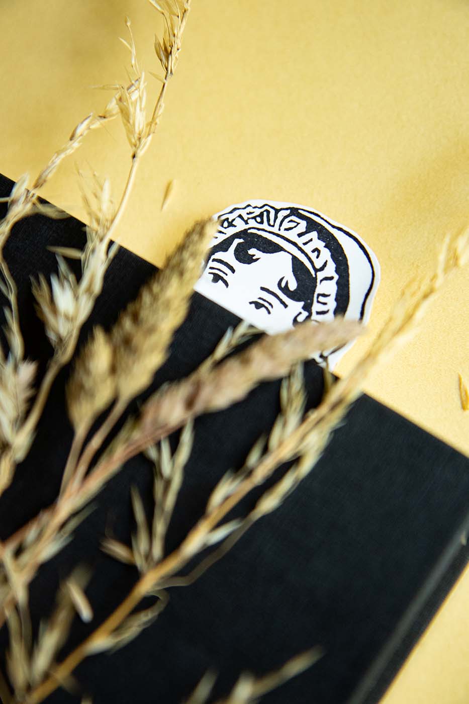 Marcapáginas de Jane Austen dentro de un libro