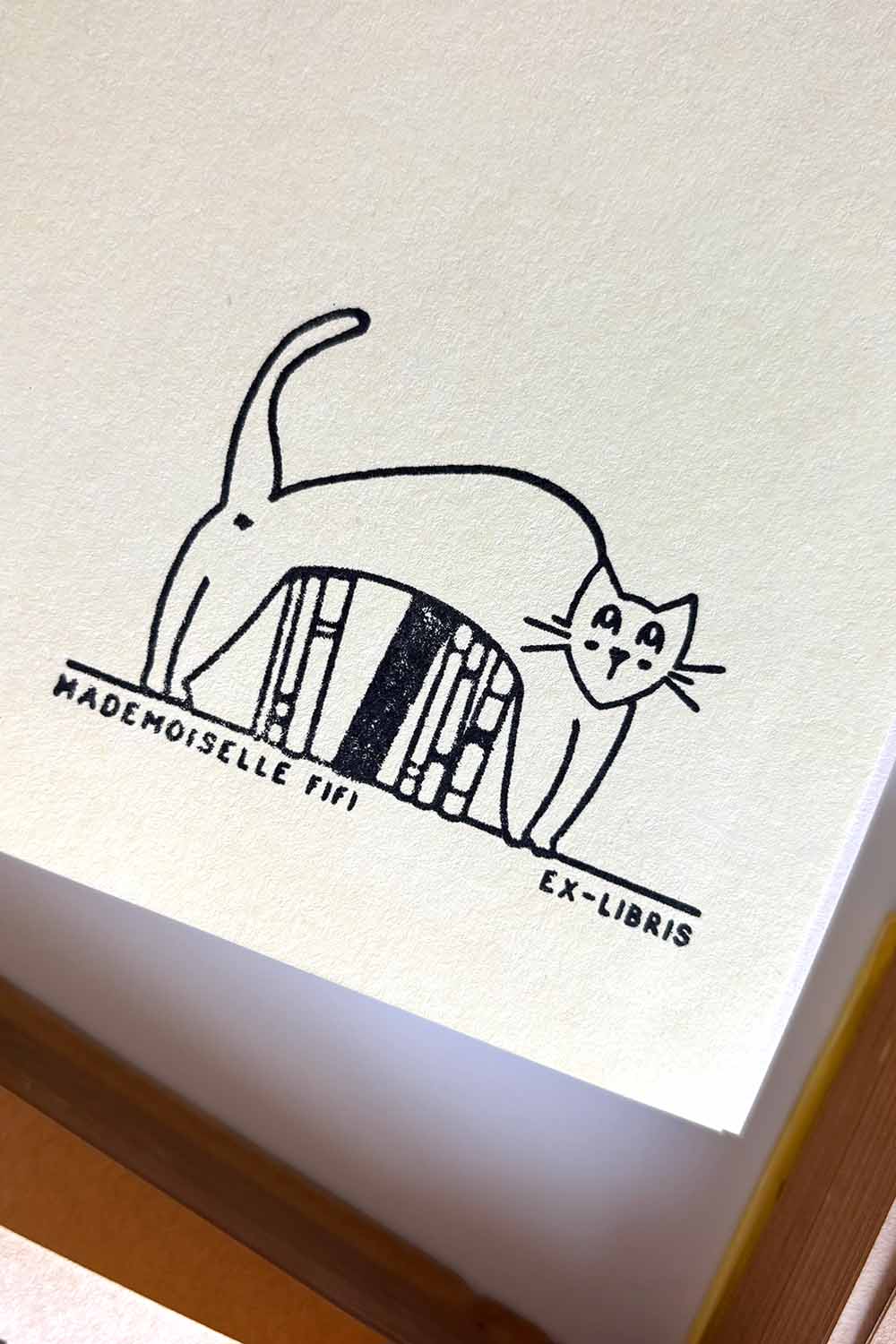 Portadilla de libro estampada con un gato encima de unos libros