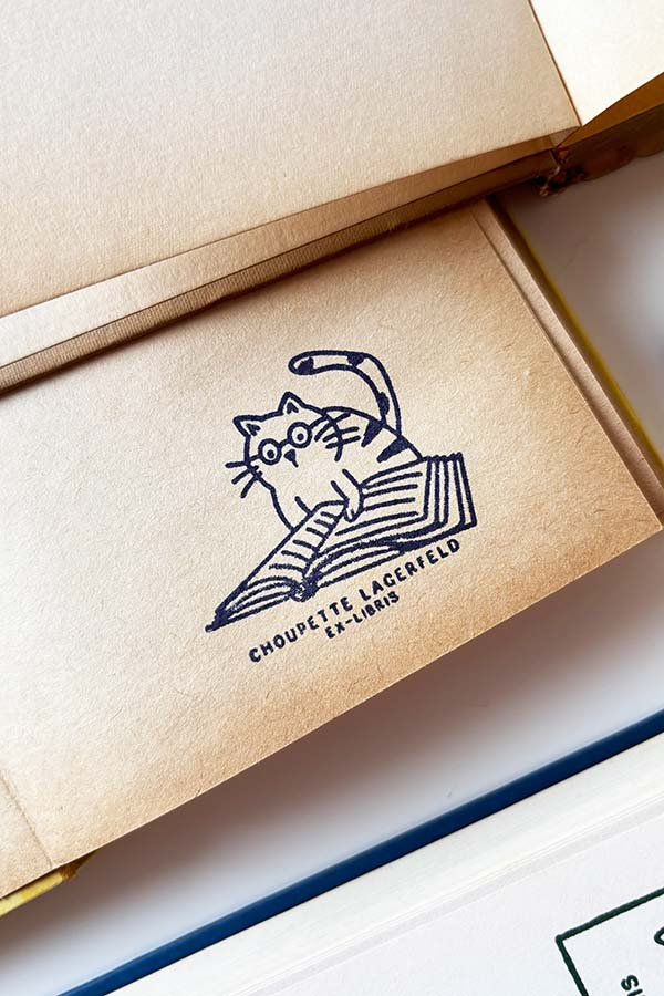 Portadilla de libro estampada con un gato leyendo con gafas